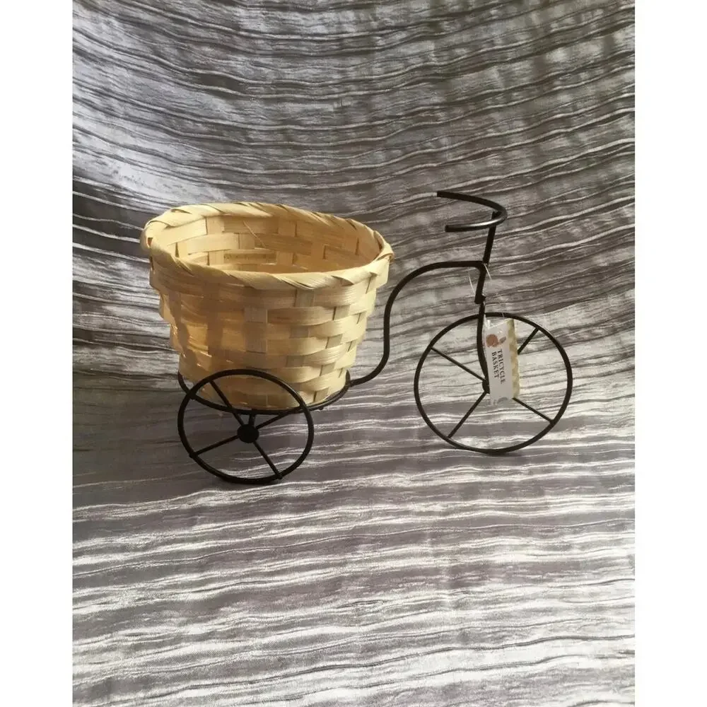 New With Tag Tricycle Basket